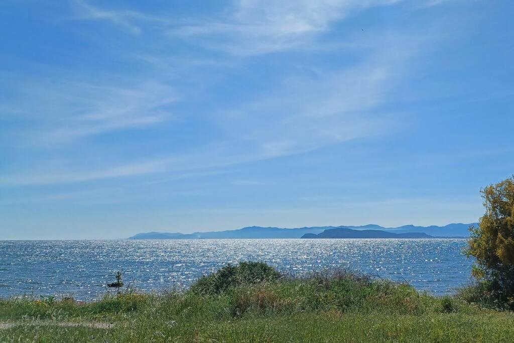 Appartamento Sul Mare Su Forti Bagian luar foto